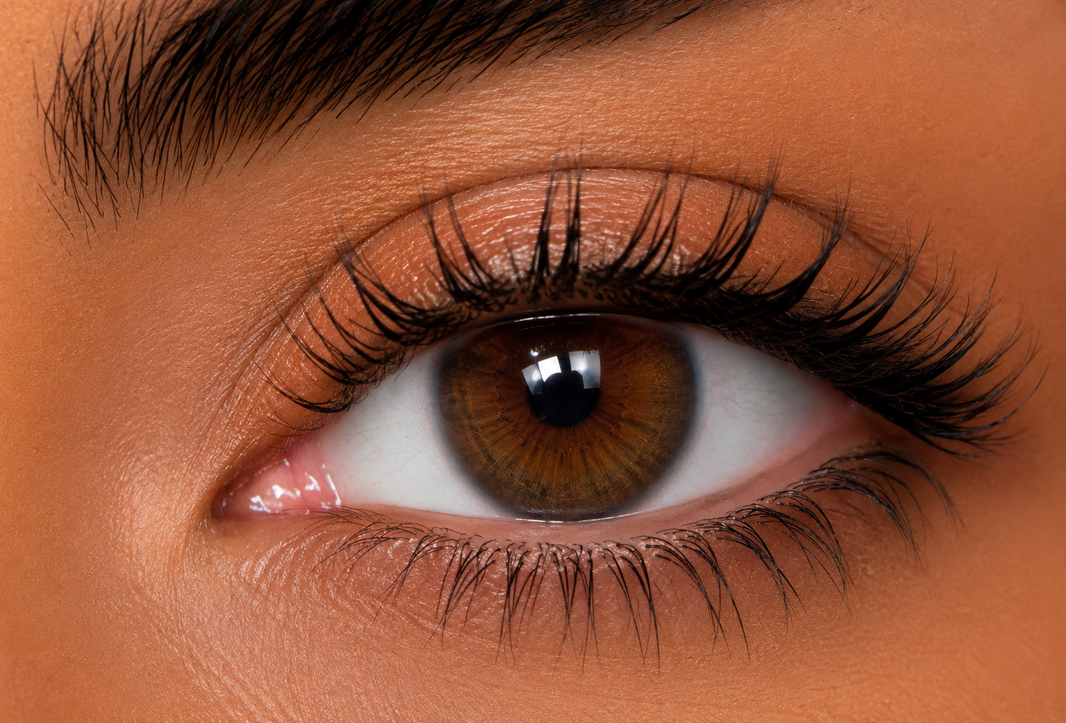 Lentilles de couleur - Glimmer Brown
