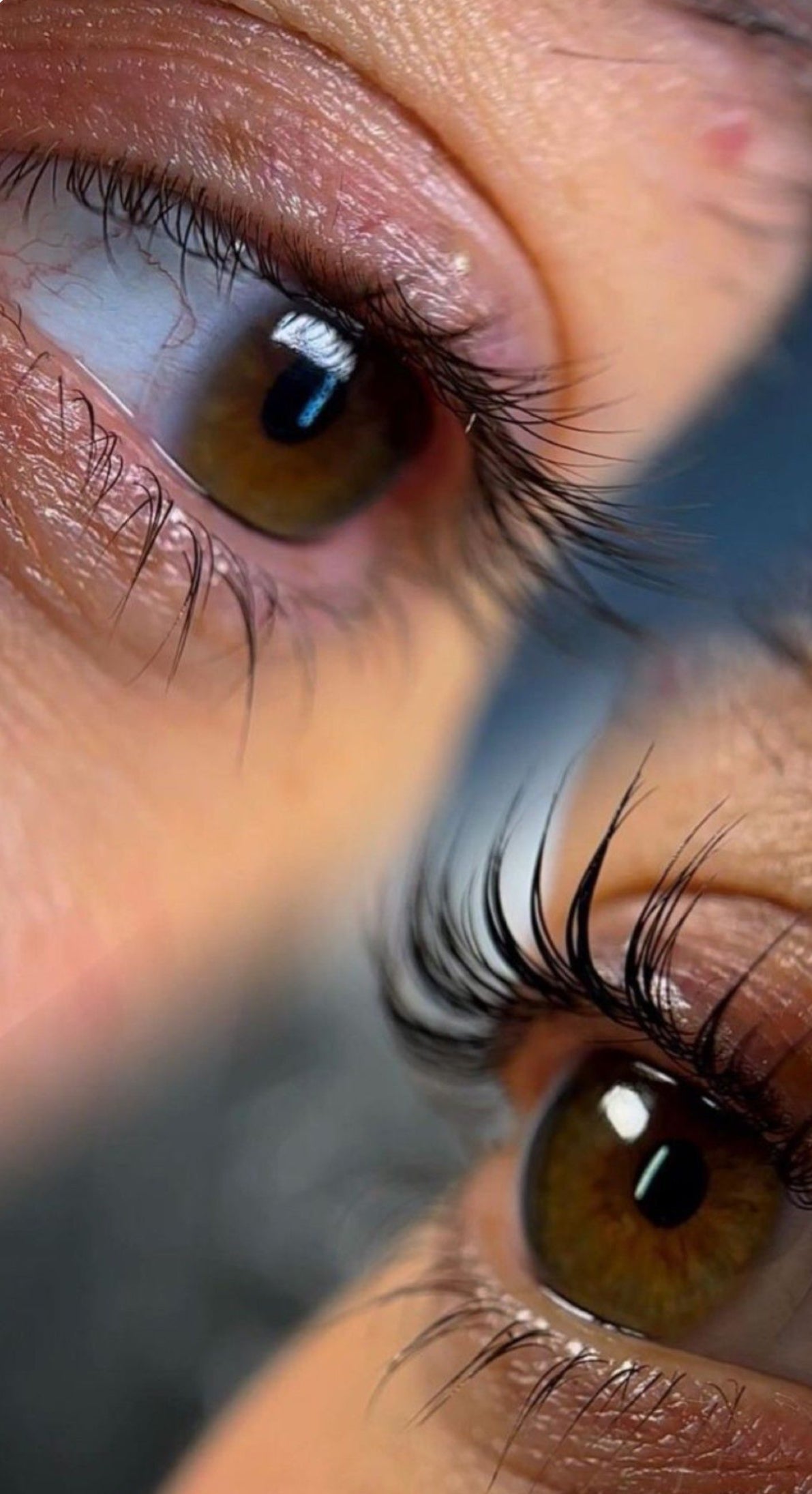 Korean Lash Lift