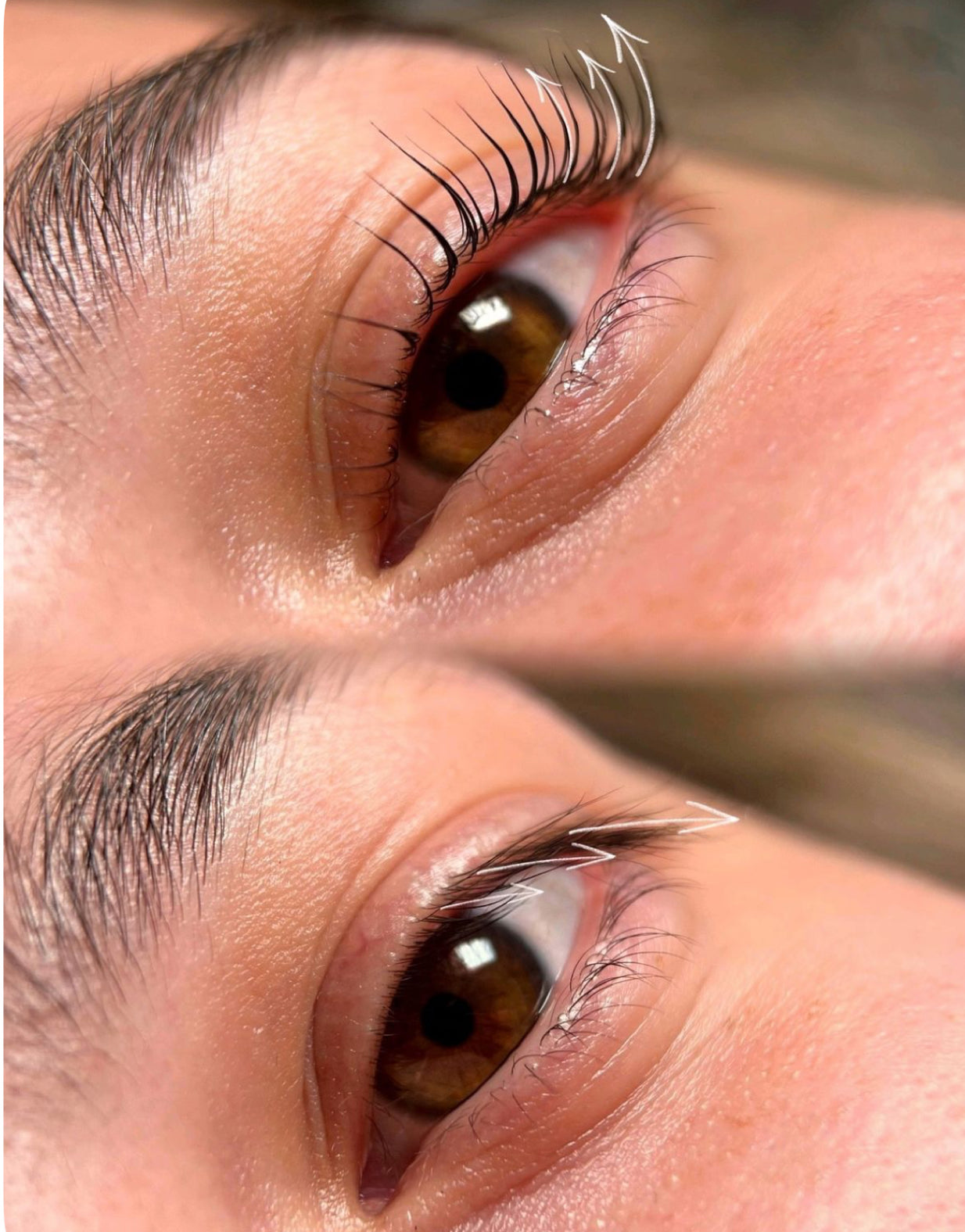 Korean Lash Lift