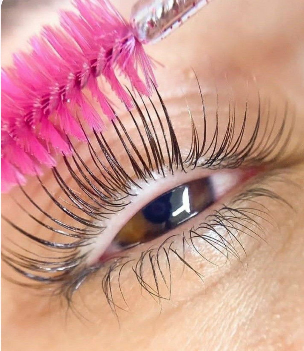 Korean Lash Lift