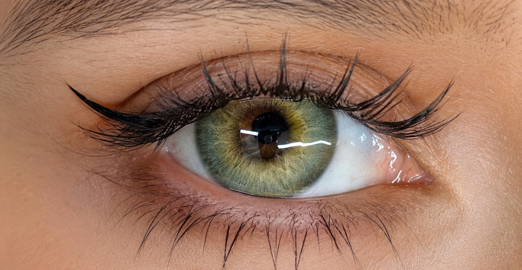 Lentilles de couleur - Wildwood eyes Green